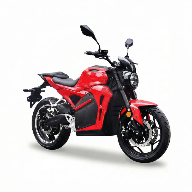 China's Best Quality Motorcycle Heavy Duty Adult Off-Road Bike Electric Motorcycle