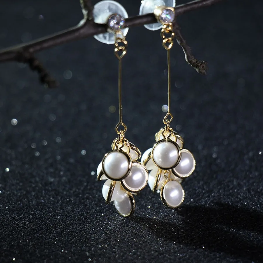1 Pair S925 Silver Needle Anti-Allergy High-end Crystal Long Earrings, Creative and Trendy Style, Grape String Earrings
