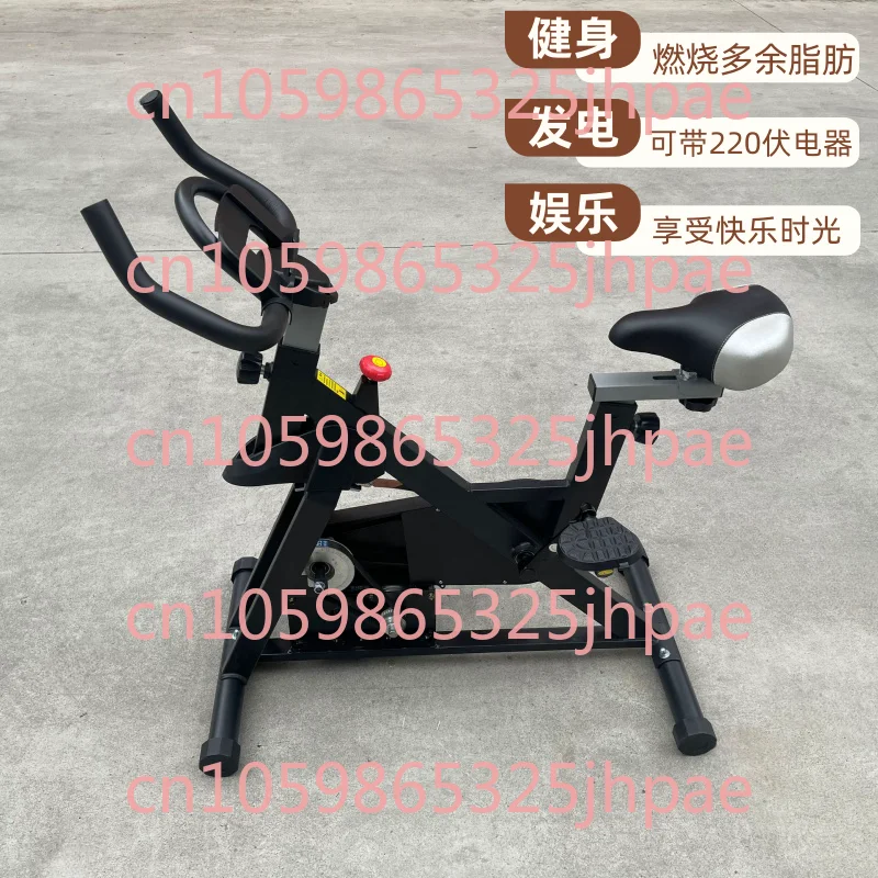 220v 2000w Spinning Bike Pedal Generator Fitness 12v 48v60v72v Permanent Magnet Ac Charging