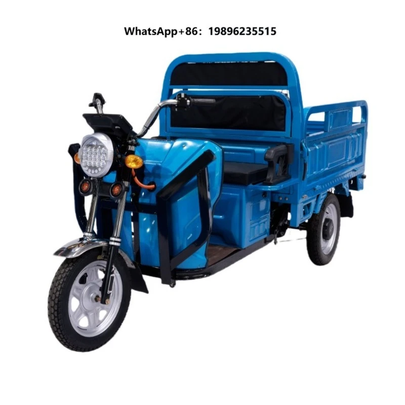Electric Trike 3 Wheel Electric Tricycle Three Wheels Adult Cargo Electric Bike