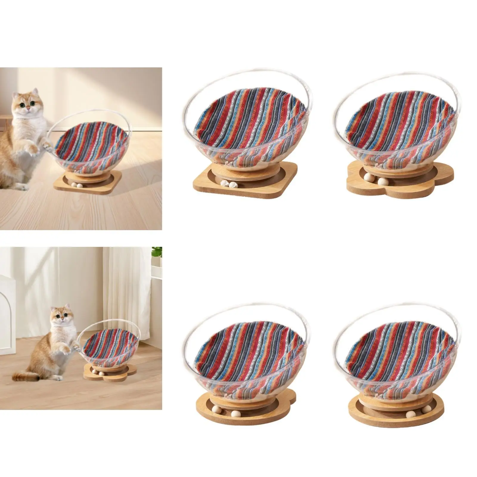 Lettino per gatti Stabile Robusto Facile da pulire Mobili per gatti trasparenti per quattro stagioni Accessori per animali Nido per gattini per gatti Gattino Gattino