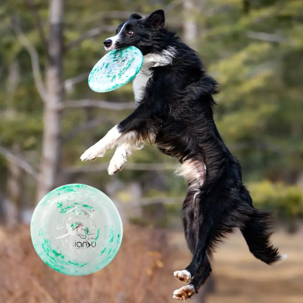 Pet Outdoor Training 24cm Dog Flying Disc Colorful Soft Dog Interactive Bite Resistant PE Pet Floating Relieve Boredom
