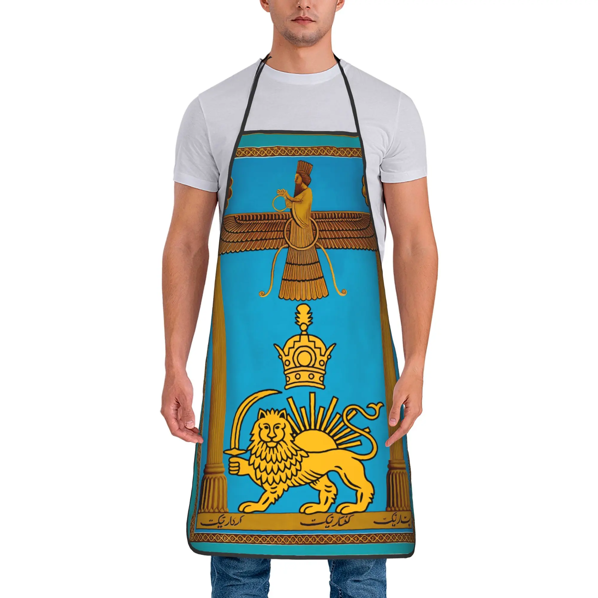 

Flag Of Iran Apron Cooking Barber Kitchen Accessories Restraunt Fashionable Aprons without Pocket