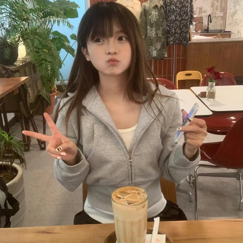 Deeptown Vintage Grey Zipper Hoodies Women Korean Style Casual Short Hooded Sweatshirts Harajuku Retro Classic Hoodies Street