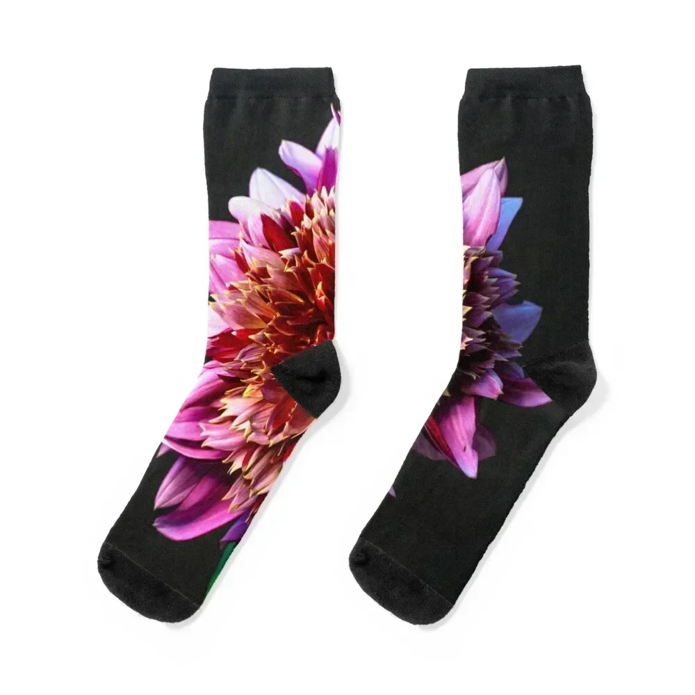 Mambo Dahlia Still LIfe Socks funny sock Climbing Antiskid soccer Christmas Men's Socks Women's