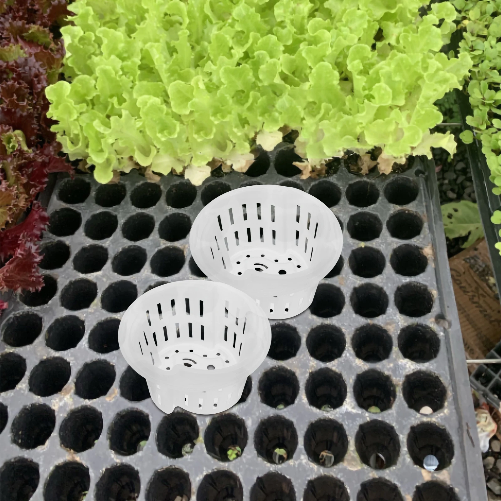 

4pcs Hydroponic Vegetable Equipment Net Pot Slotted Mesh Cups Plants Heavy Duty Plastic Pots Balcony Garden Planters