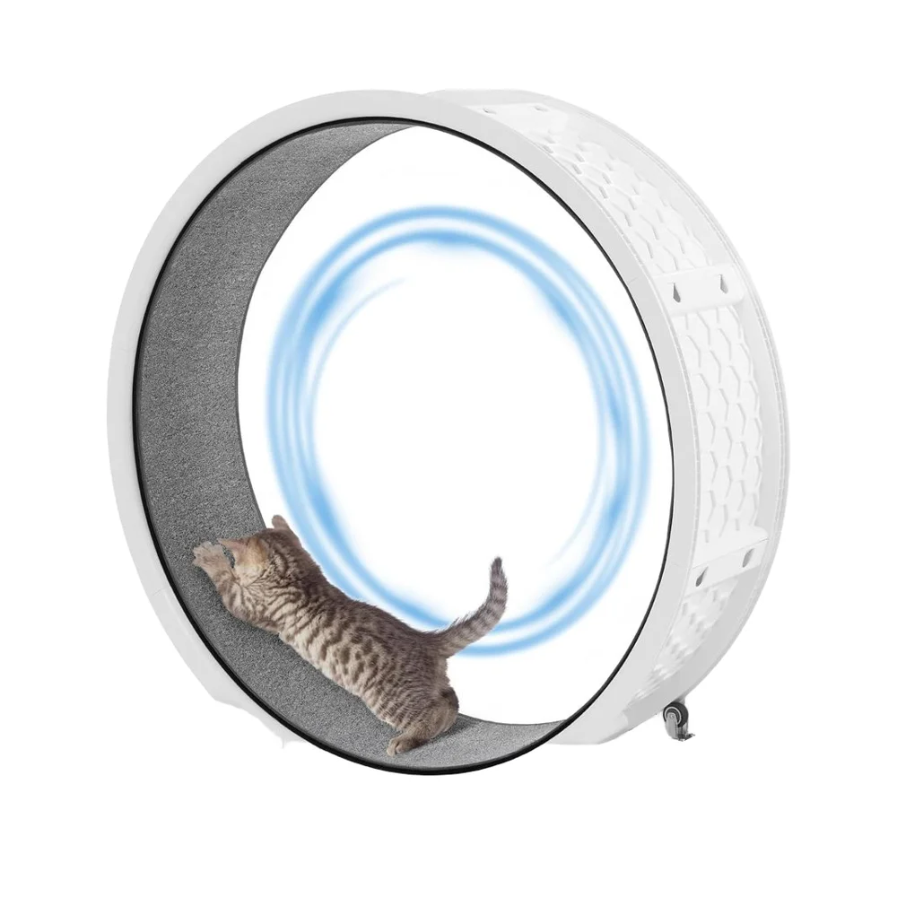 

Large Eco-Friendly Indoor Pet Fitness Workout Treadmill Fast Easy 10 Minute Installation Cat Exercise Wheel Pedometer Plastic