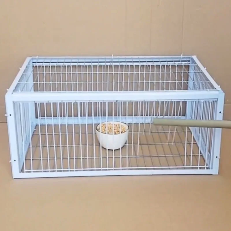 Big Foldable Galvanised Pigeon Bird Trap Cage Feral Pigeon humane way with the one-way entrance Trapping Pigeons doves In Cages