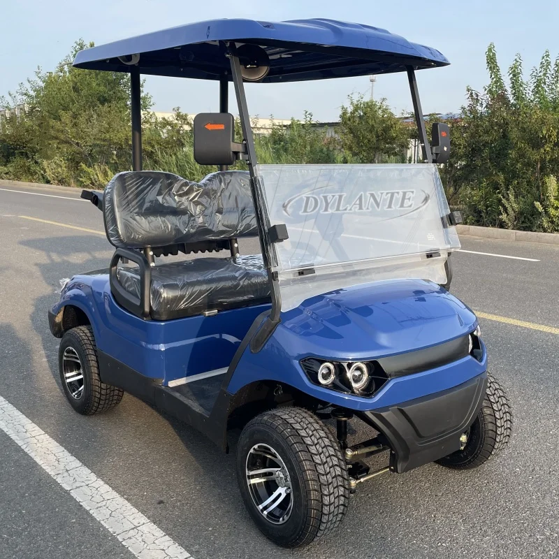 

High Quality 2 Seater Golf Cart 60v/150AH Lithium Battery Customised Durable Golf Sightseeing Cart
