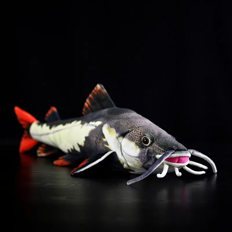 

Red-tailed Shieldhead Fur Toy Red-tailed Catfish Doll Lucky Catfish Playmate Lifelike Animals Stuffed Doll Kawaii Toy Gifts