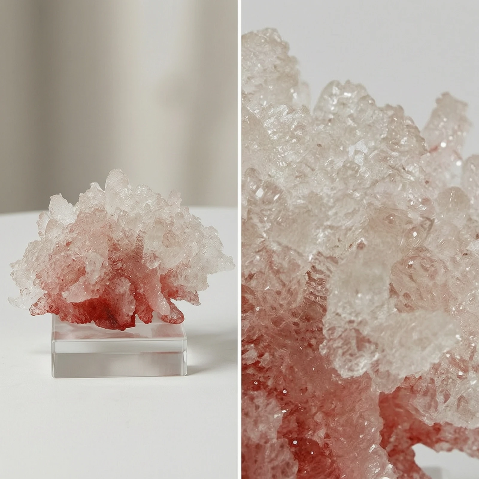Escultura de Coral com Base de - Abstract Sculpture Resin avaliação e preço