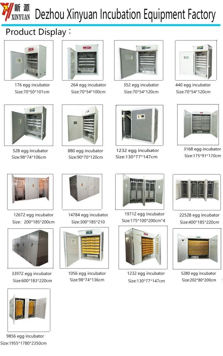 Chicken Usage and Farms Applicable Industries china 2000 eggs incubator