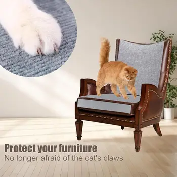10 best sales proteggere il gatto - №7