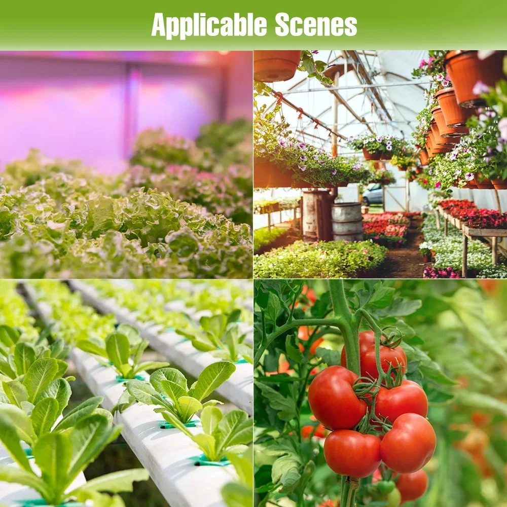 250 W LED Vollspektrum Wachsen Lampe 220 V Pflanzenanbau Lichter Gewächshaus Zelt Obst Gemüse Hydrokultur Füllen Beleuchtung US/EU Stecker