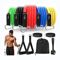 Customize 11 Pcs 100lbs 150lbs Pull Rope Stretch Resistance Bands Set Fitness Tube for Home Gym Yoga Pilates Abs Exercise
