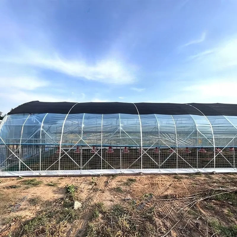 Excellent Load-bearing Capacity Resistance Deformation Portable Structure 150kg Chicken Coop Customized