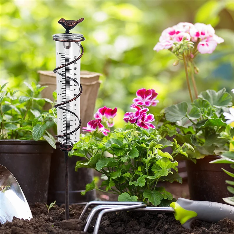 Pluviometro a spirale in vetro di capacità, pluviometro sospeso per uccelli in ghisa, misuratore dell'acqua piovana da giardino con struttura in metallo