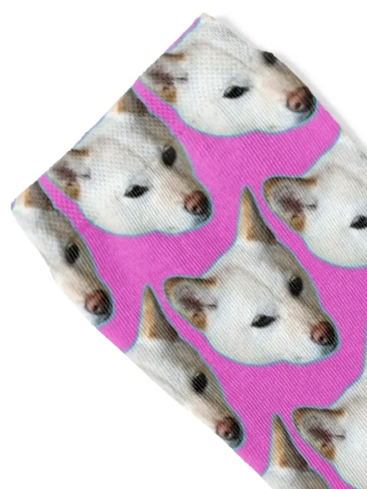 Niko the Shiba Inu - The Lucky Shibes Mascot! Socks sports stockings luxury happy Socks Male Women's