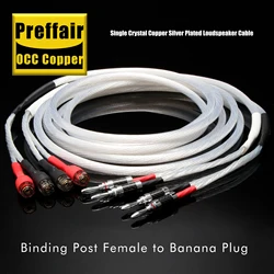 Preffair X420 2 Binding Posts to 2 Banana Plugs Wires OCC Copper Silver Plated Speaker Wires for Amplifier Loudspeaker