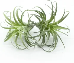 Tillandsia-plantas artificiales flocadas, plantas de aire falsas, suculentas pequeñas, 2 piezas