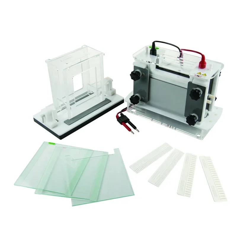 Sistema de tanque de eletroforese vertical SSR rápido