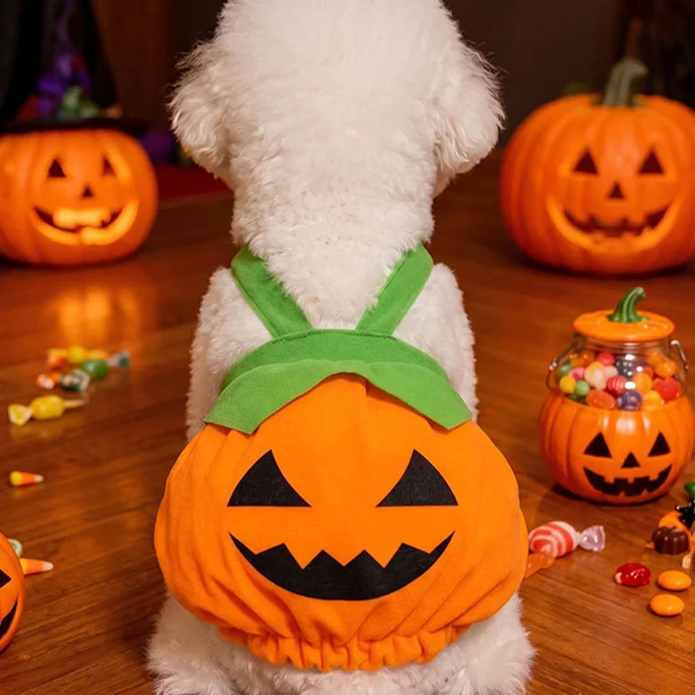 Pumpkin Print Dog Costume 5