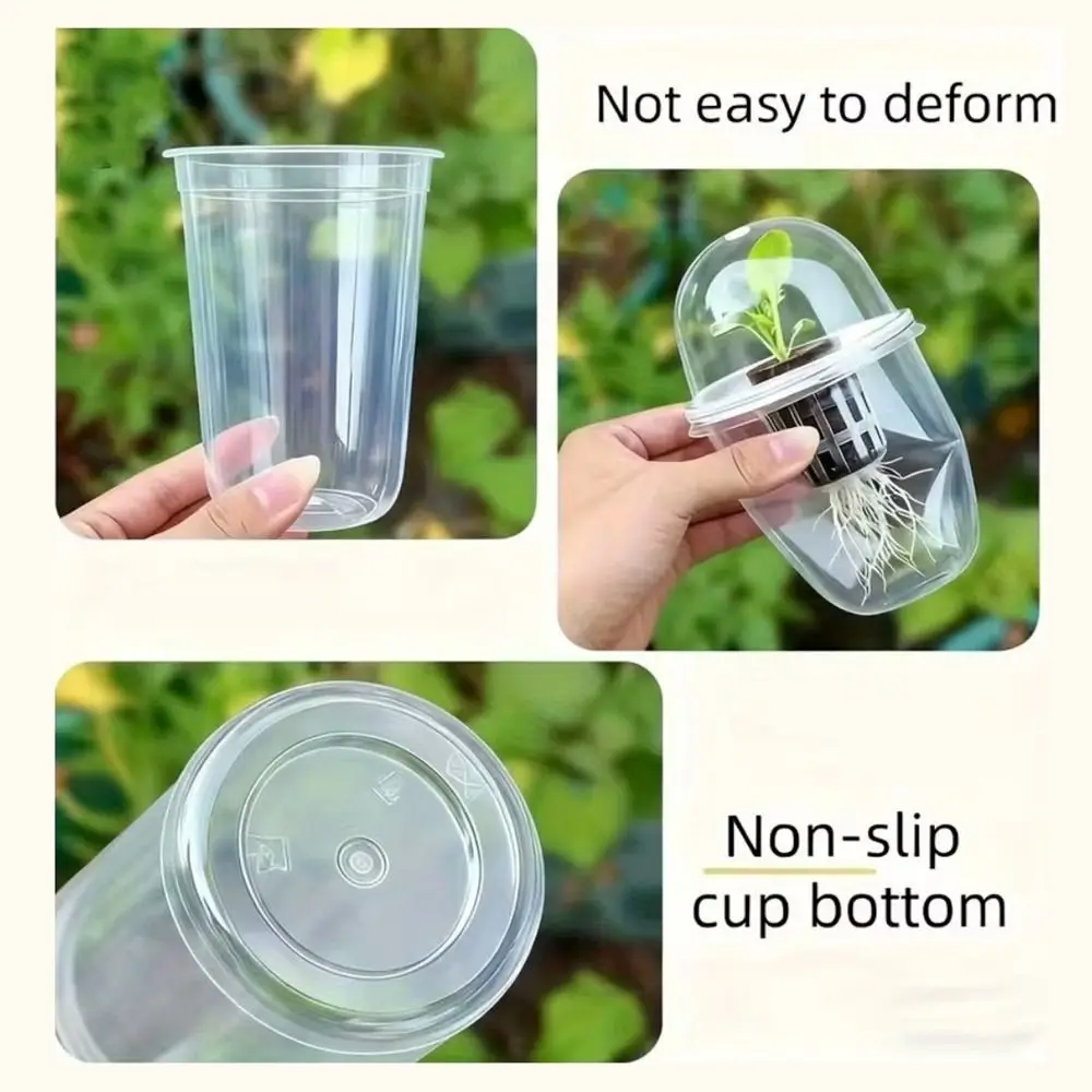 Plastic Root View Cups Visible Self Watering Cylindrical Planter Pots Transparent Hydroponic Planter Pots Plant Propagation