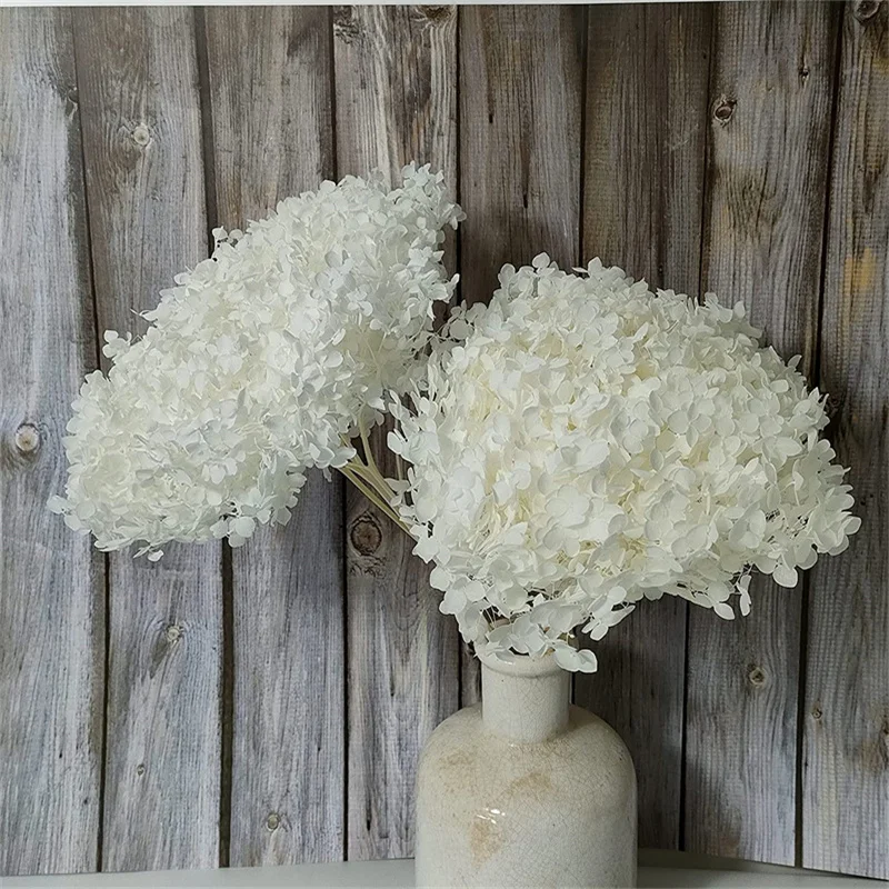 

Large Hydrangea Eternelle Flower Wedding Bridal Bouquet Dried Hydrangea Flower Home Decor Flower Party Wedding Centerpiece Decor