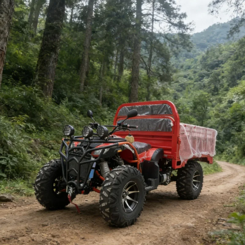 All Terrain ATV Off-Road Motorcycle 250 Farmer Agricultural Field Pull Freight Quad