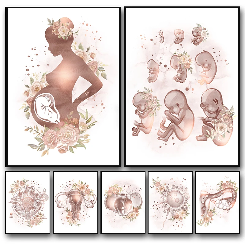 Female Anatomy Fertility Pregnancy Posters Prints Canvas Painting Wall Art Picture Gynecology Obstetrics Decoration Mural Gif