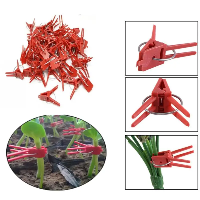 50pcs Quality Plants Graft Clips Plastic fixing fastening Fixture clamp Garden Tools for Cucumber Eggplant Watermelon