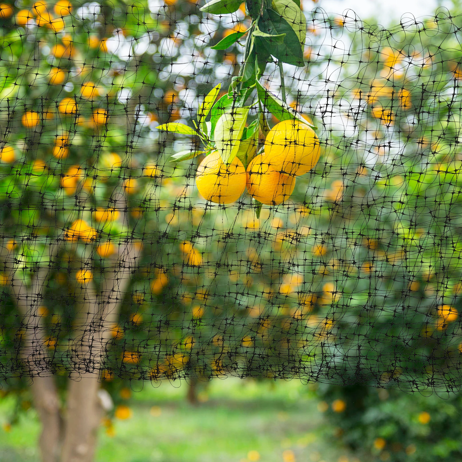 

1Set Anti Bird Netting Garden Mesh Cover Lightweight Plant Screen Netting Reusable PP Material Vegetable Protection