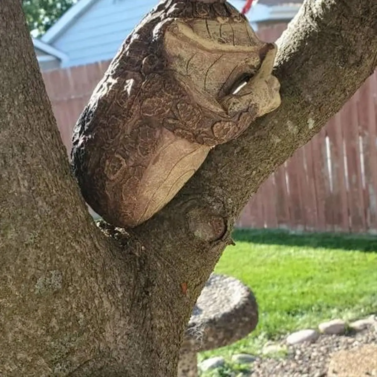 ABZF 2026 Quiet Frog Tree Peeker Garden Tree Sculptures Outdoor Tree Face Garden Tree Hugger Statue Indoor Outdoor Yard C