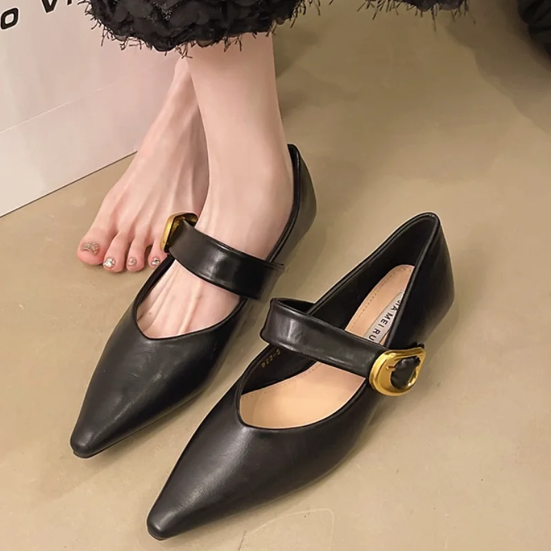 Pointed Mary Jane Single Shoes Women's Spring New Fashion Retro Shallow Mouth Thick Heel Small Leather Shoes