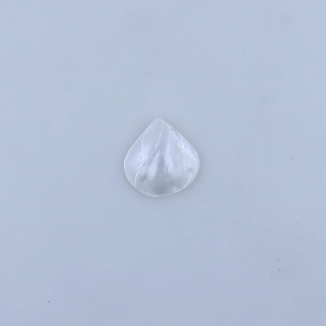 20mmX20mm  Natural White Sea Shell Drop Fan Pendants Top Hole Mother of Pearl