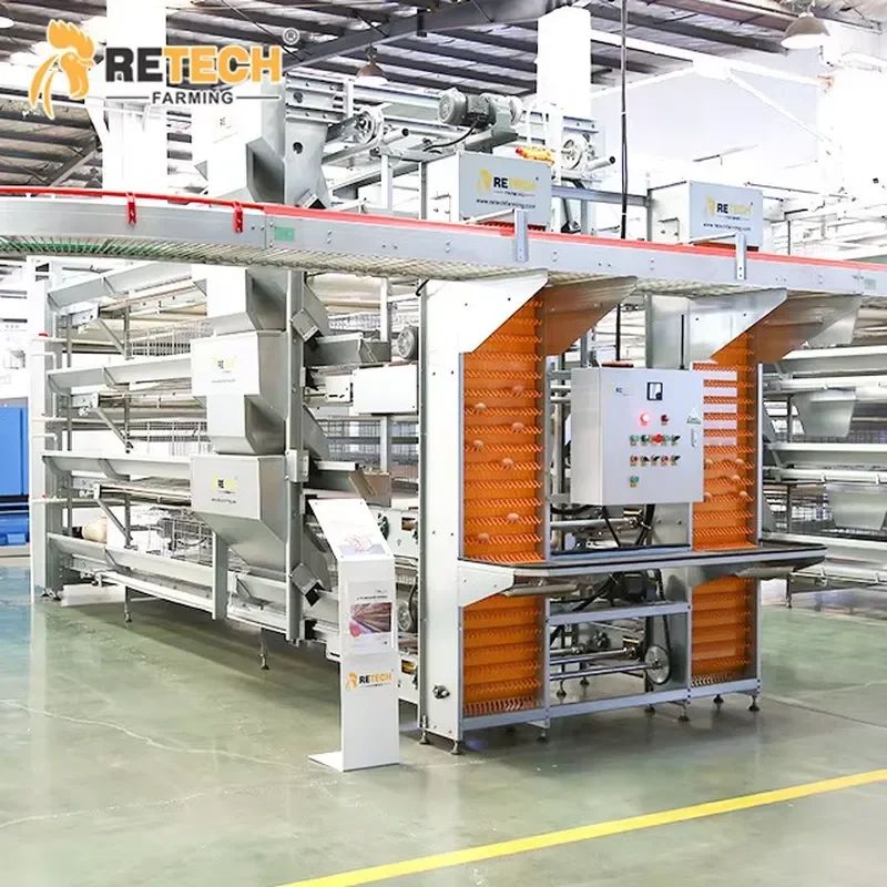 H Frame Chicken Battery Cages for Automatic Poultry Farming Equipment with Egg Collection System for Egg Layer