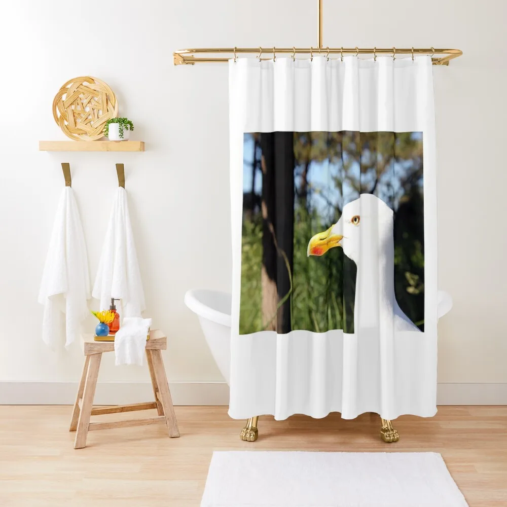 

Seagull on Ruegen Shower Curtain Anime Shower Waterproof Bath And Anti-Mold For Bathroom Shower For Bathrooms Curtain