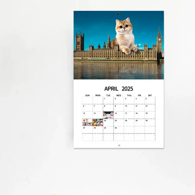 12 Month Cat Calendar 2025 Fun Urban Big Cat Wall Calendar 12 Month Hangings Cats Rule The Earth Family Planner Vertical Monthly