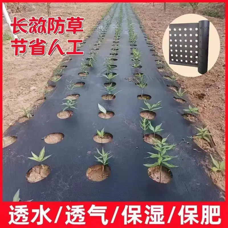 New type of anti-aging grass cloth, orchard fruit tree grass cover grass cloth, horticultural ground cloth, water-permeable roun