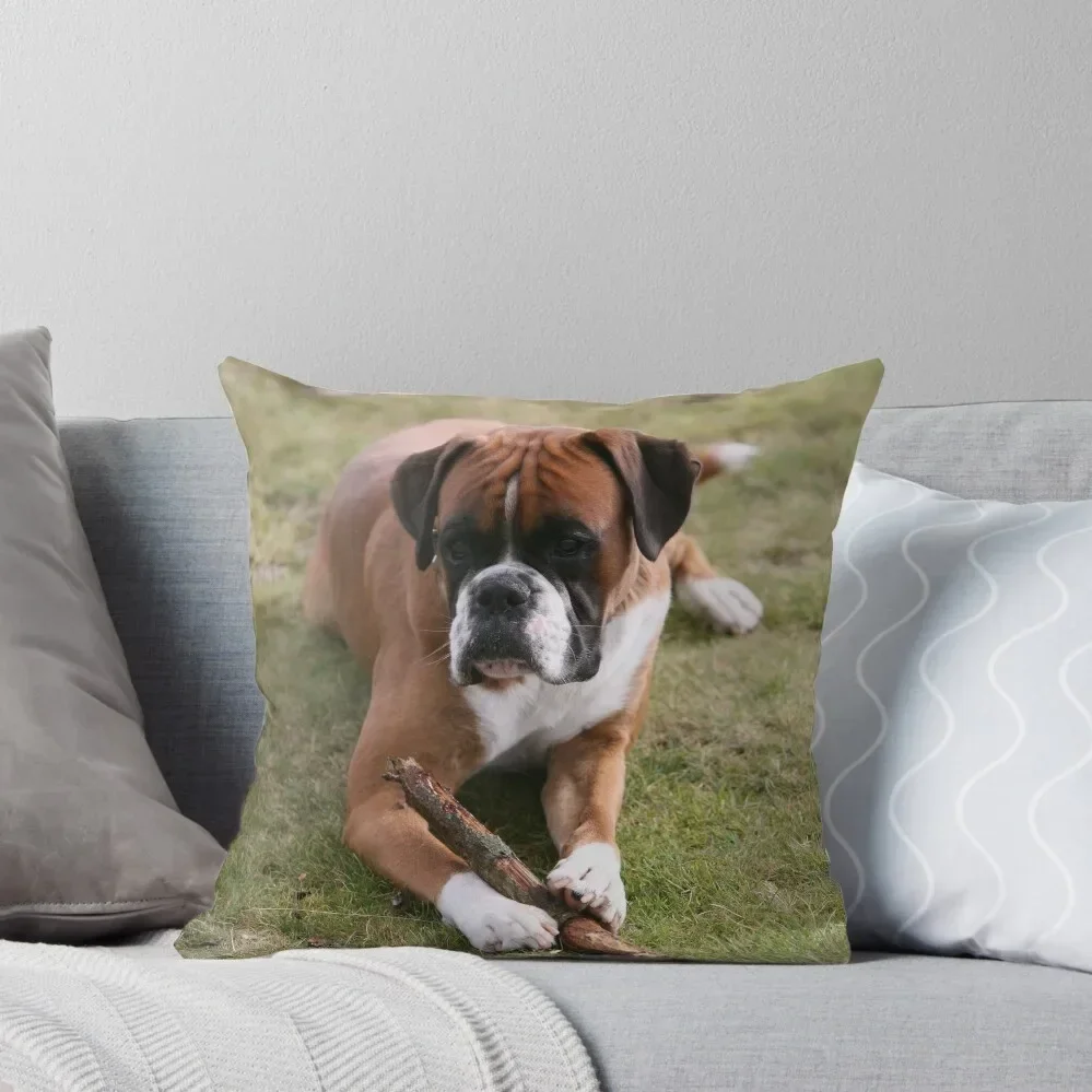 boxer dog Throw Pillow Cushion Covers For Living Room Decorative pillowcase Pillow