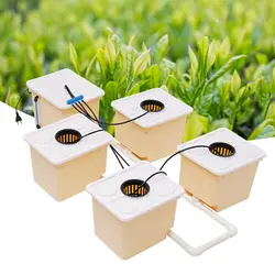 11L 5 Bucket Plant Hydroponic Grow System Kit Indoor Irrigation Cultivation Drip Growing System For Home DHL