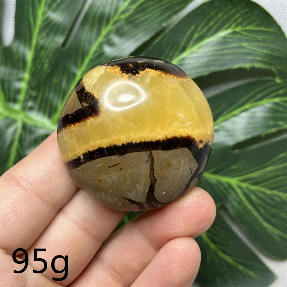 Natural Gem Septarium Turtle Shell Stone Palmstone Home Room Decoration Spiritual Meditation Witchcraft Altar Supplies Chakra