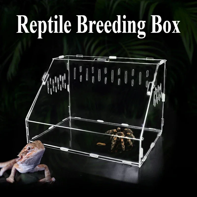 Acrylic Transparent Reptile Terrarium Breeding Box Turtle Cage Nano Arboreal Tarantula Enclosure Dearded Dragon Reptiles Habitat