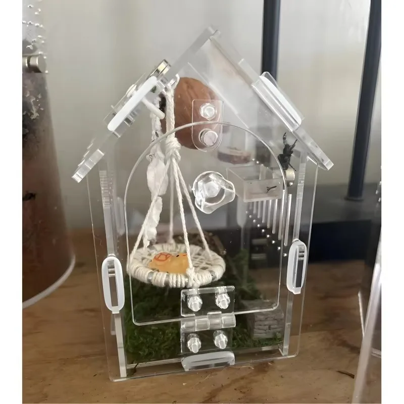 Acrylic Rectangle Pet Box for Reptile Spider Lizard  Keeping Small Ecological Tank Transparent Visual Viewing