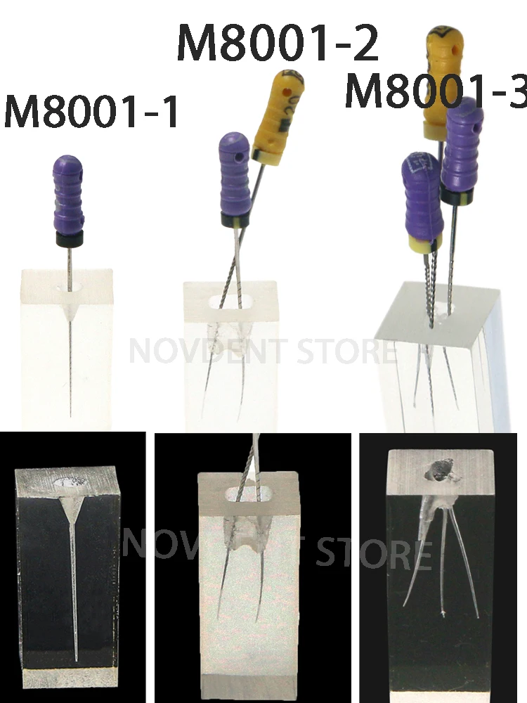 M8001-1/2/3 M8001S Dental 2023 NEW Training 10Pcs Root Canal Endodontic Teeth Model Clear Demo Rotary Files Practice Study