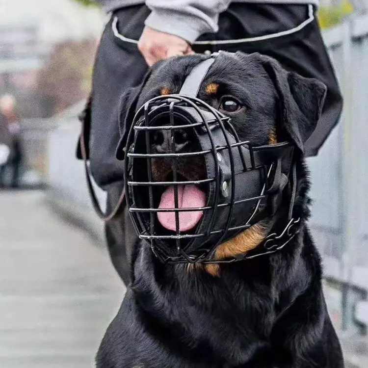 

Large Dog Mouth Cage Mouth Cover Training Mask for Golden Retriever Rottweiler Collie Anti-Bite Practical Dog Mouth Gear