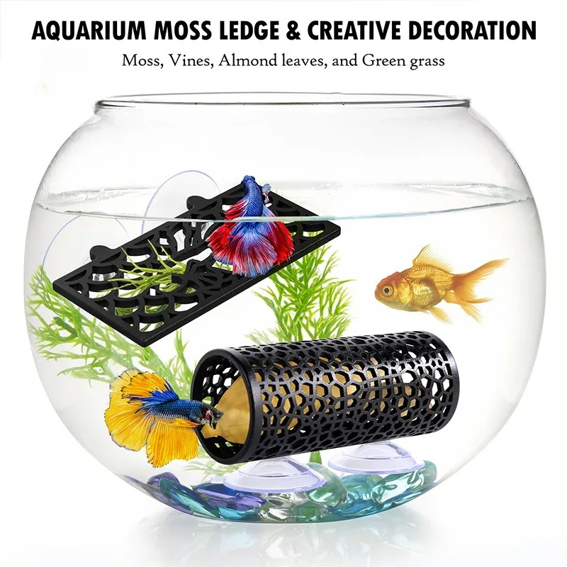 Aquarium Decoration…