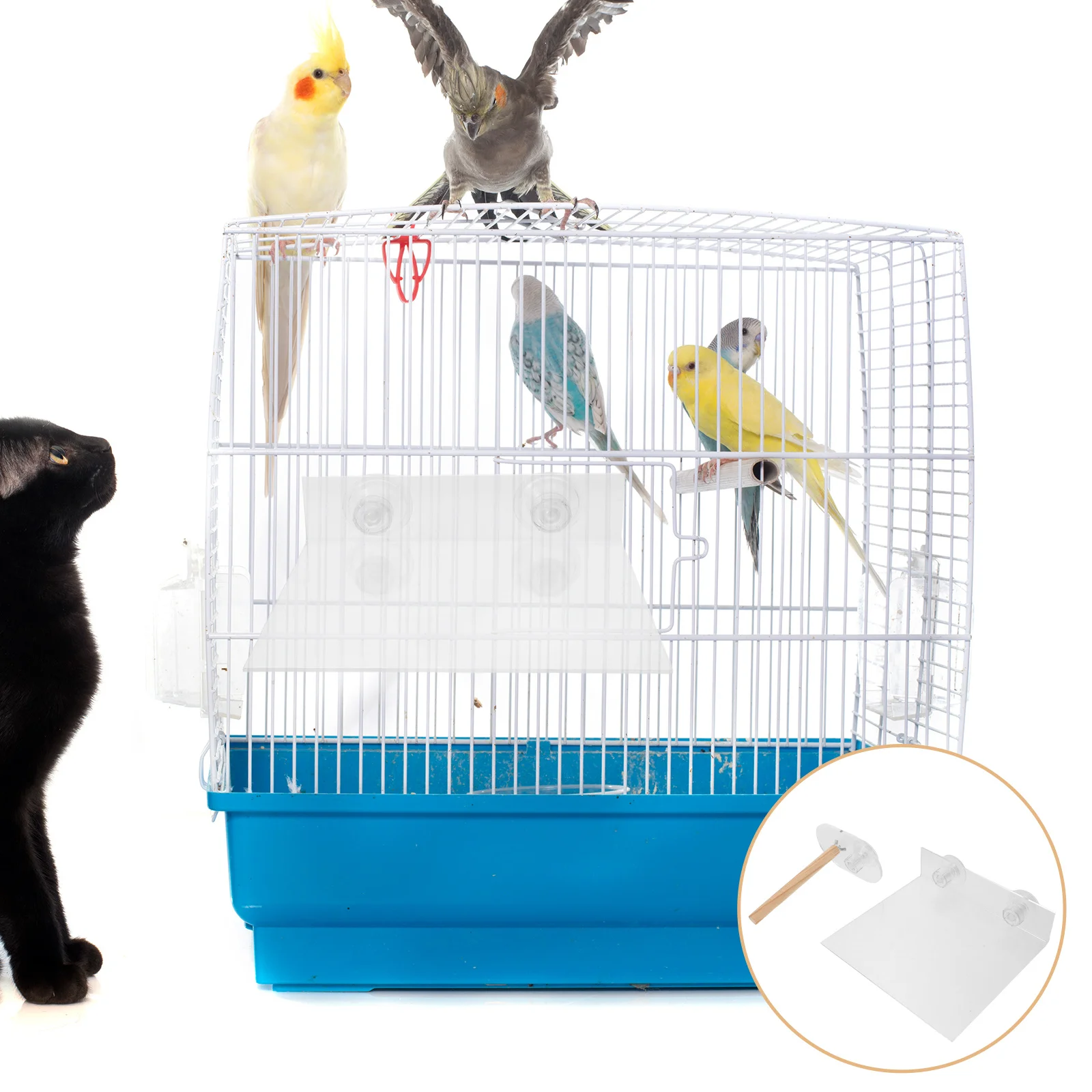 

2pcs Parrot Stand Perch Suction Cup Detachable Acrylic Platform For Travel Shower Bath Indoor Window Mount Budgie Cockatiel