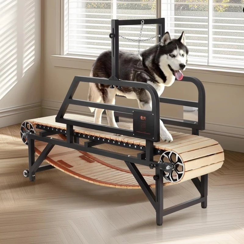 

Indoor Pet Treadmill for Reptiles Dogs Agility Training Carbon Steel Frame Wood Track Adjustable Resistance