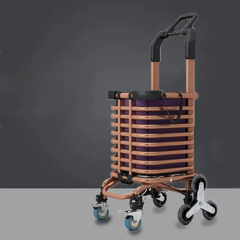 chariot-de-courses-portable-pliable-avec-poignee-telescopique-pour-monter-les-escaliers-ideal-pour-les-legumes-et-les-courses